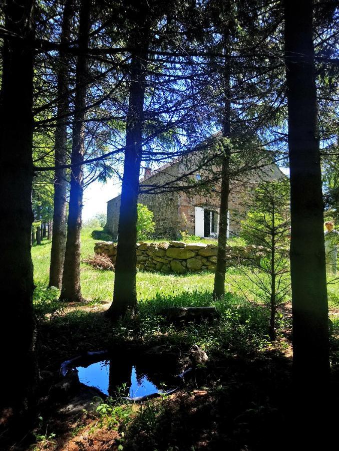 La Ferme Du Crie Bed & Breakfast